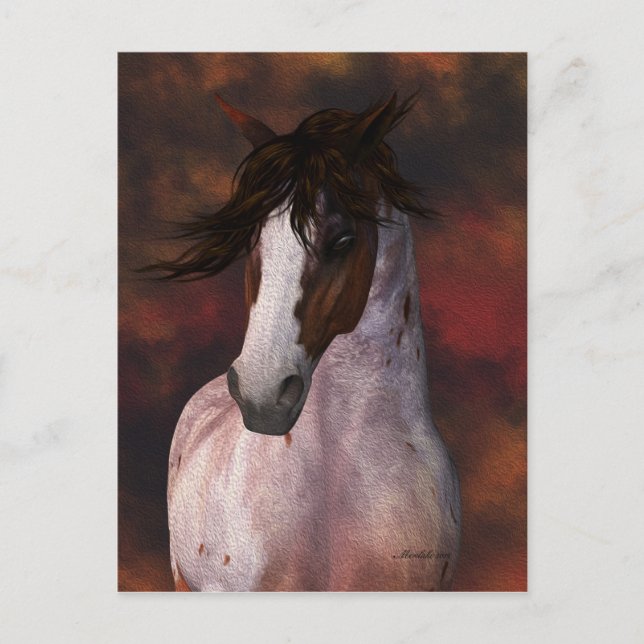 Arte equino, postal de caballo (Anverso)