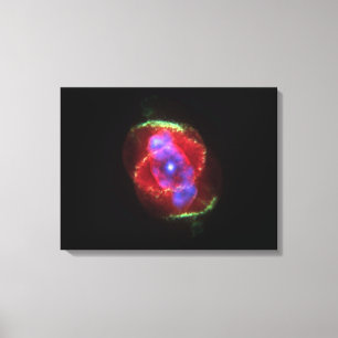 ARTE ESPACIAL Nº 8