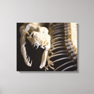Arte esquelético de la serpiente - lona