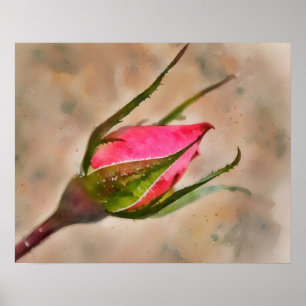 Arte estilo acuarela de Rose Bud Garden
