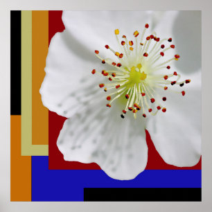 Arte floral abstracto moderno de floración primave