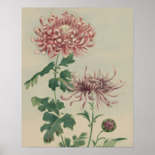 ARTE FLORAL BOTÁNICO DE CRISANTEMO VINTAGE