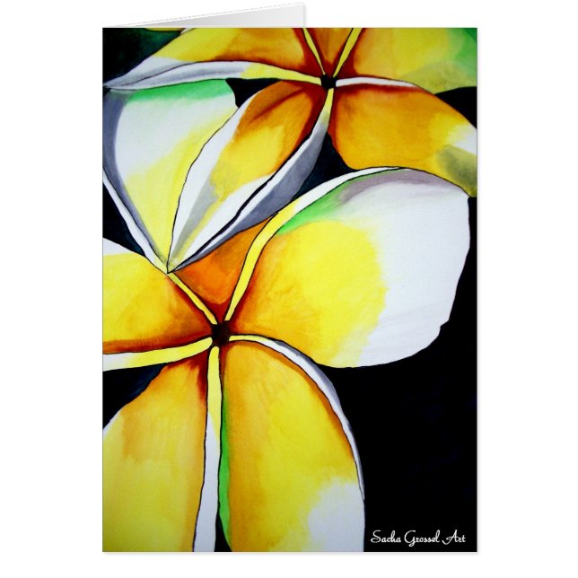 Arte floral de Frangipani (Frente)