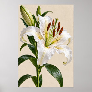 Arte floral de pared de lirio blanco vintage elega