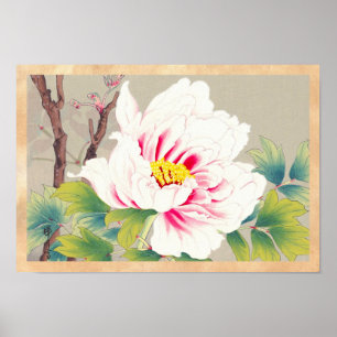 Arte floral japonés de Zuigetsu Ikeda Camellia ros