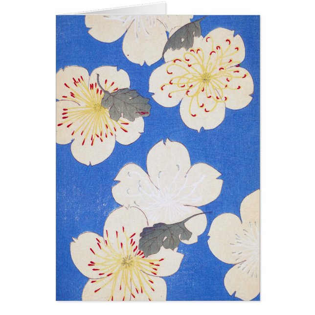 Arte floral vintage (Frente)