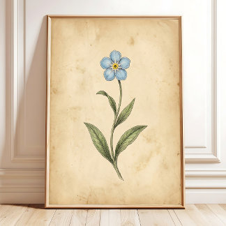 Arte floral vintage Olvídate de mí