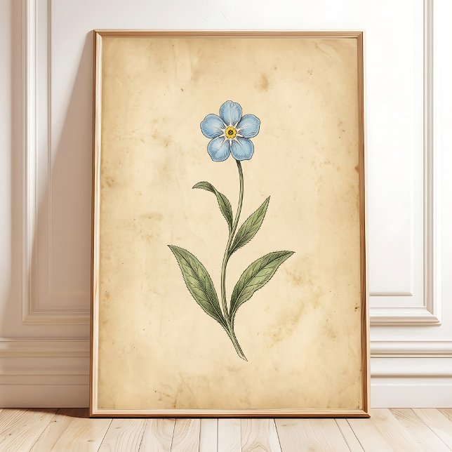 Arte floral vintage Olvídate de mí (Subido por el creador)