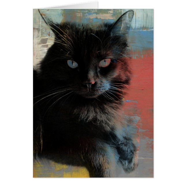Arte folclórico, negro gato rojo fondo azul blanco (Frente)