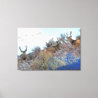 Arte fotográfico