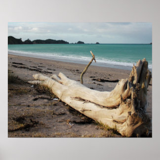 arte fotográfico a la deriva en la playa