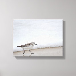 Arte fotográfico de canvas en pared de sandpiper S
