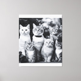 Arte fotográfico de gato en blanco y negro