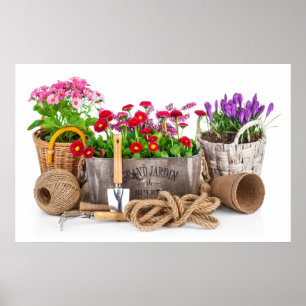 Arte fotográfico de jardinería - SRF
