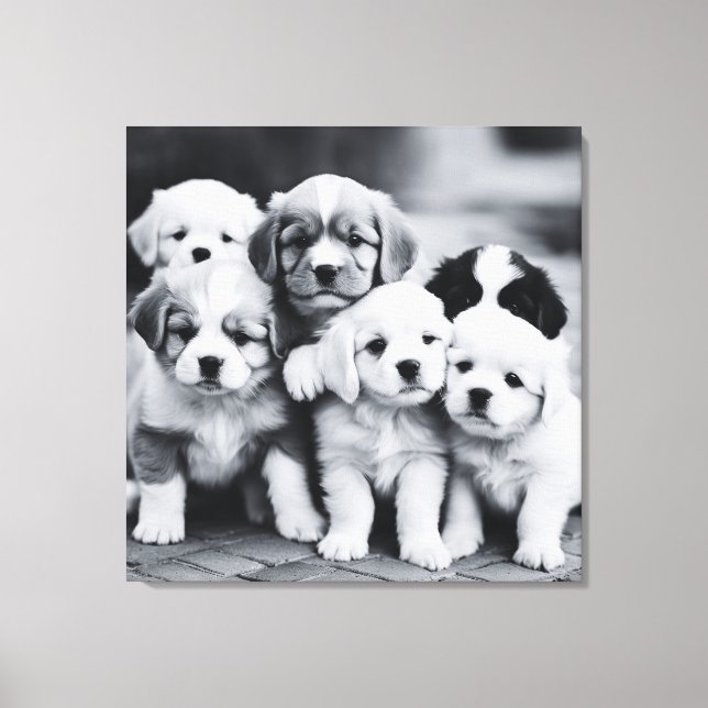 Arte fotográfico de perros blancos y negros (Anverso)