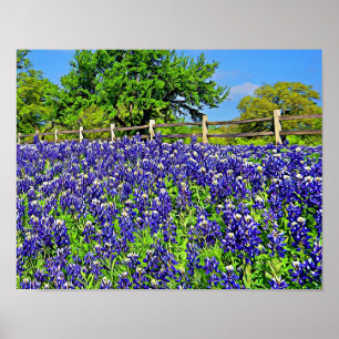 Arte fotográfico del libro de cuentos Bluebonnet F