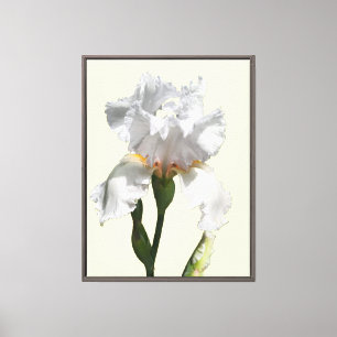Arte fotográfico en lienzo de flor de iris blanca