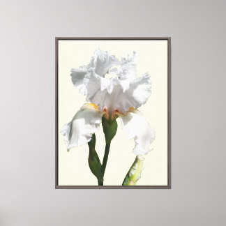 Arte fotográfico en lienzo de flor de iris blanca