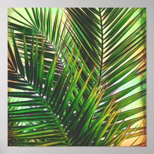 arte fotográfico tropical de palmeras posters tono (Frente)