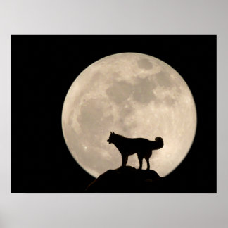 Arte Husky Imprimir Perro Perro Poster Regalos Hus