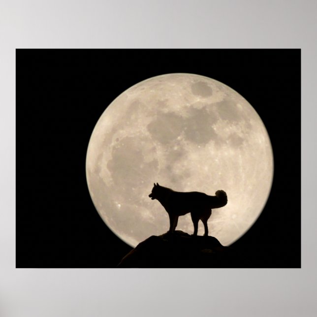 Arte Husky Imprimir Perro Perro Poster Regalos Hus (Frente)