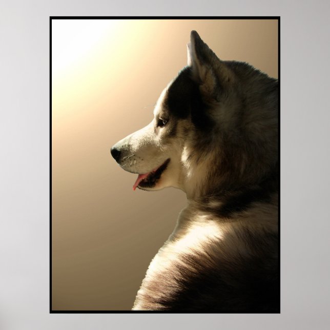 Arte Husky Imprimir Perro Perro Poster Regalos Hus (Frente)