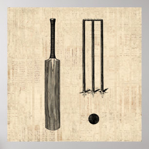 Arte ilustrado de la vieja muralla de críquet