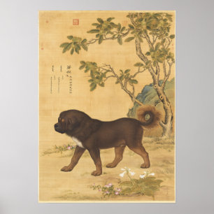 Arte imperial chino del mastín tibetano vintage