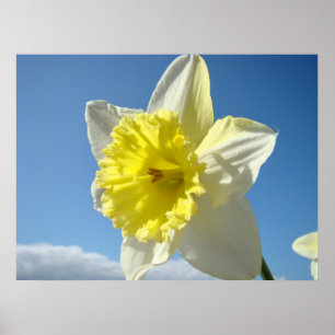 ARTE IMPRESIONES Flores de Daffodil Amarillas Pint