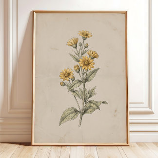 Arte impreso de pared de flor de Melampodium vinta