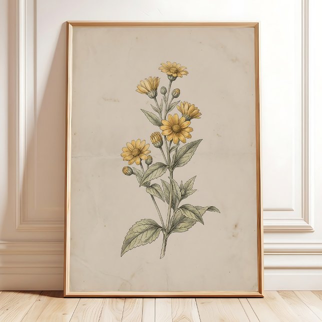 Arte impreso de pared de flor de Melampodium vinta (Subido por el creador)