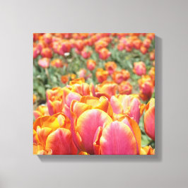 arte impreso en lienzo de 12x12 Tulipanes Flores c