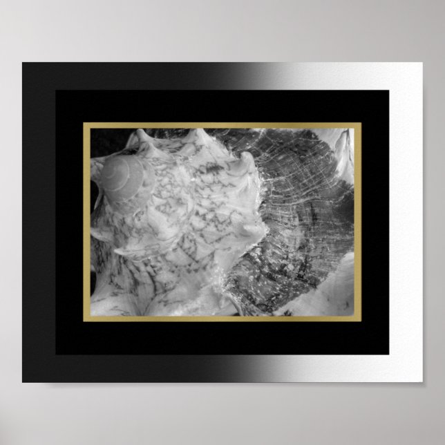 Arte Imprimible de conchas tropicales de oro y neg (Frente)