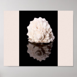 Arte Imprimible tropical de conchas blancas y negr