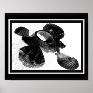Arte Imprimible tropical de conchas blancas y negr