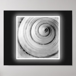 Arte Imprimible tropical de conchas blancas y negr