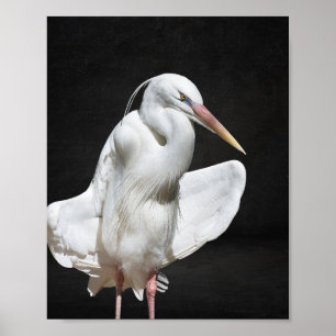 Arte Imprimible Tropical de Garza Negra y Blanca