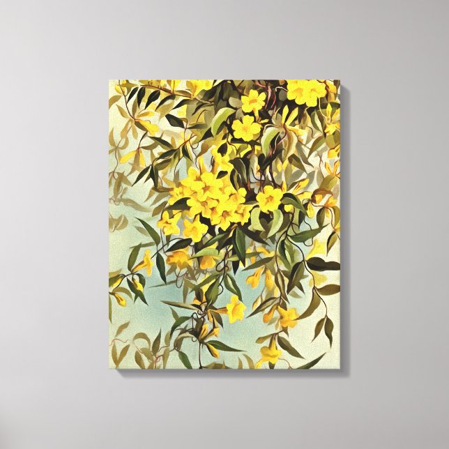 Arte Jasmine de Carolina Carolina (Anverso)