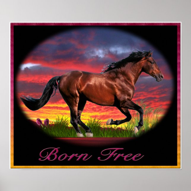 arte libre de poster de caballos (Frente)