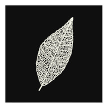 Arte lineal de hoja de esqueleto en blanco y negro