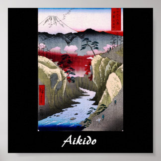 Arte marcial japonés de Aikido