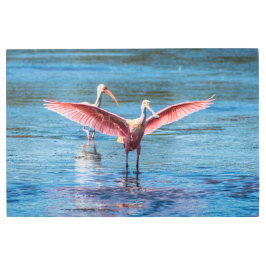 Arte metalizado 36 x 24 de la pared del Spoonbill