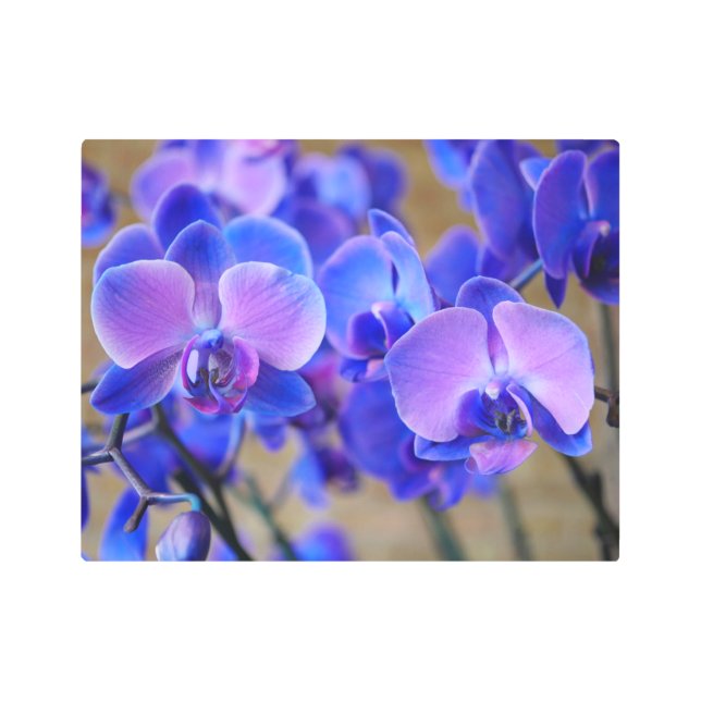 Arte Metalizado con orquídeas azules y rosas (Anverso)