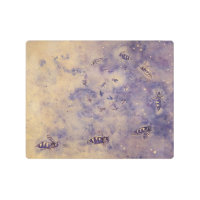 Arte metalizado de la pared de las abejas del