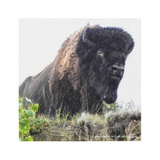 Arte metalizado de la pared del bisonte