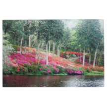 Arte Metalizado de la Plantación de Middleton Plac