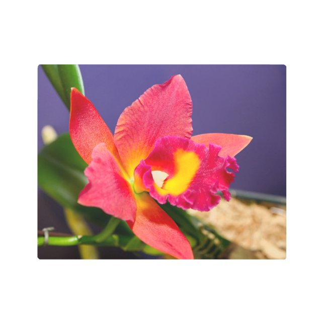 Arte Metalizado de orquídeas amarillas y rojas (Anverso)