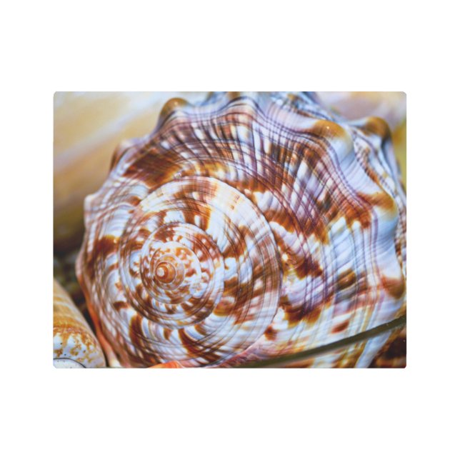 Arte Metalizado en el Muro de Marea Marrón y Blanc (Anverso)