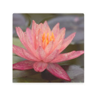 Arte metalizado rosado de la pared del lirio de