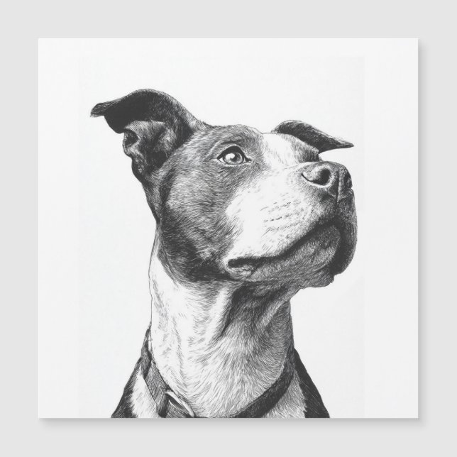 Arte minimalista Pitbull negro y blanco (Anverso)